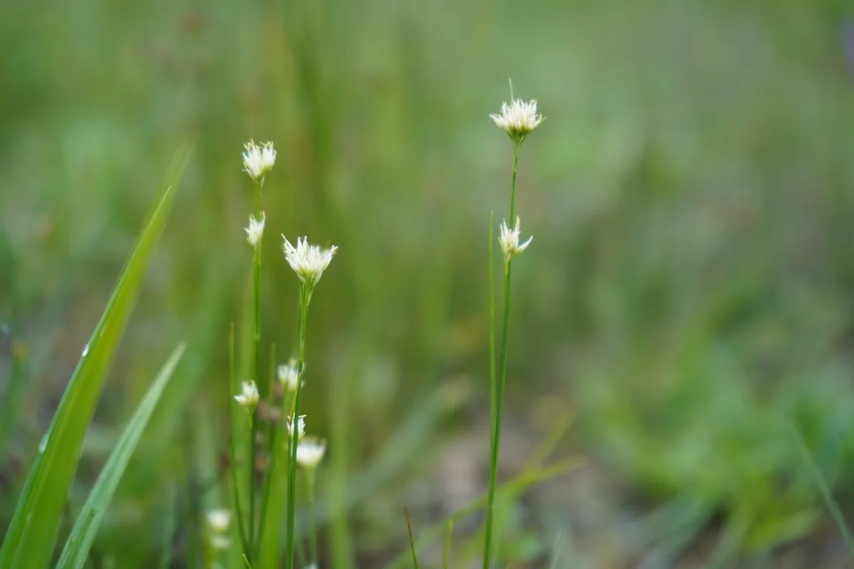 Naturschutzgebiet Wildert in Illnau-Effretikon.